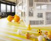 Unopark Vintage Edition Eiche Yellow Intense Wide